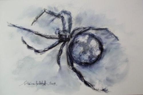 “Illustrazione per ‘Lotto del ragno” 
