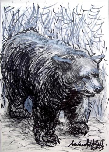 “Illustrazione per ‘Lotto dell’orso” 
