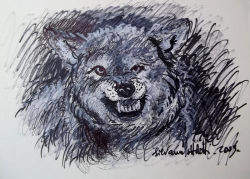 “Illustrazione per ‘Lotto del lupo”