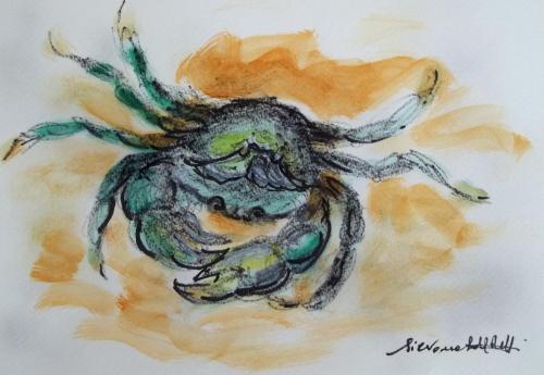 “Granchio verde europeo (“Carcinus maenas”)