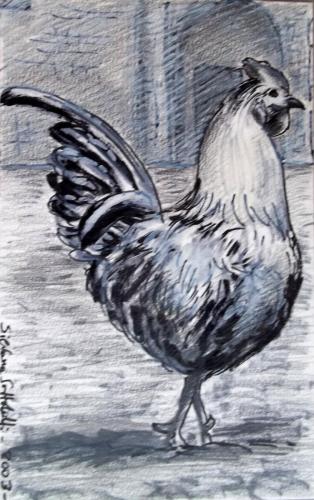 “Illustrazione per ‘Lotto dell’oroscopo cinese: il Gallo” 