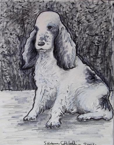“Illustrazione per ‘Lotto dell’oroscopo cinese: il Cane”