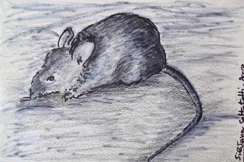 “Illustrazione per ‘Lotto dell’oroscopo cinese: il Topo”