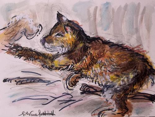 “La lince a caccia”