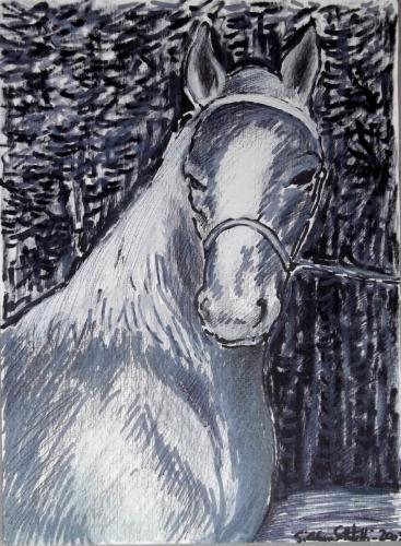 “Illustrazione per ‘Lotto dell’oroscopo cinese: il Cavallo”